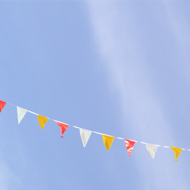 Pennant Lines - Select Colors